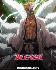 9 Tailed Fox Ichigo