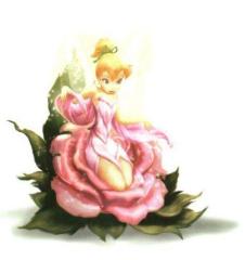 61fea6470cc5679dcd8c71bdfe18f3cb.jpg