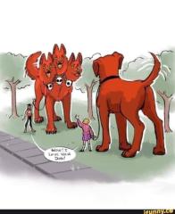 "Wow! I Love Your Dog!"