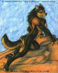 Dakota - Werewolf (biped)