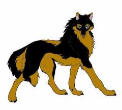 Dakota - Werewolf (feral)