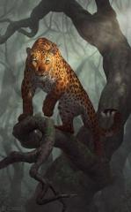 Saira - Jaguar