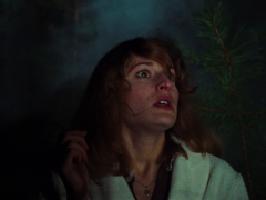 Cheryl in The Evil Dead (1981)