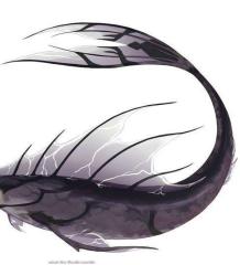 Tail Inspo.jpg