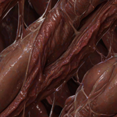 fleshling