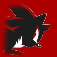 PrivateShadows